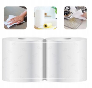 Ręcznik papierowy celulozowy biały 2-warstwowy w rolce 100m Maxi 2 sztuki