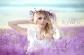 Film Wax Nirvana Lavender ItalWax 3