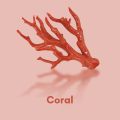 Top Line Coral Film Wax ItalWax 5